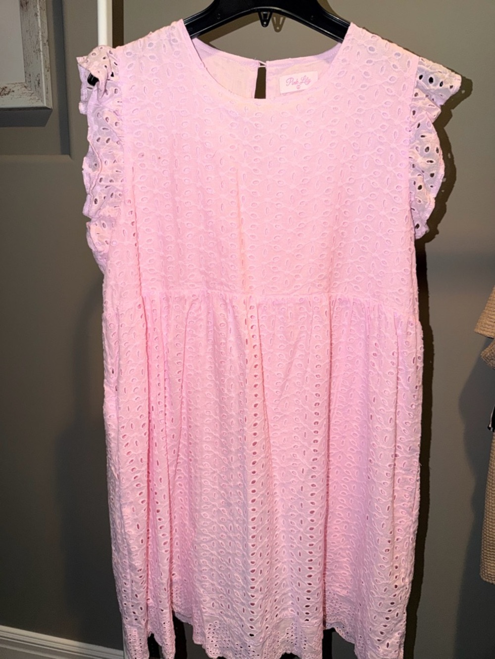 Pink Lily Pastel Pink Eyelet Ruffle Sleeve Babydoll Dress